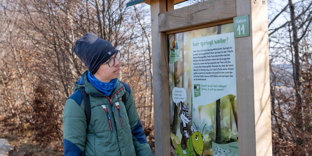 Ein Jugendlicher schaut auf eine Holztafel, die kindgerecht erläutert, welches Tier wie weit springen kann. , © Justine Bittner Ein Jugendlicher schaut auf eine Holztafel, die kindgerecht erläutert, welches Tier wie weit springen kann. , © Justine Bittner