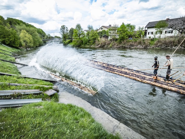 Drei Männer stehen auf Floßstämmen und rollen weitere ins Wasser, die zu einem Floß zusammen gebaut werden. , © Stadt Wolfratshausen Foto: Adrian Greiter Drei Männer stehen auf Floßstämmen und rollen weitere ins Wasser, die zu einem Floß zusammen gebaut werden. , © Stadt Wolfratshausen Foto: Adrian Greiter