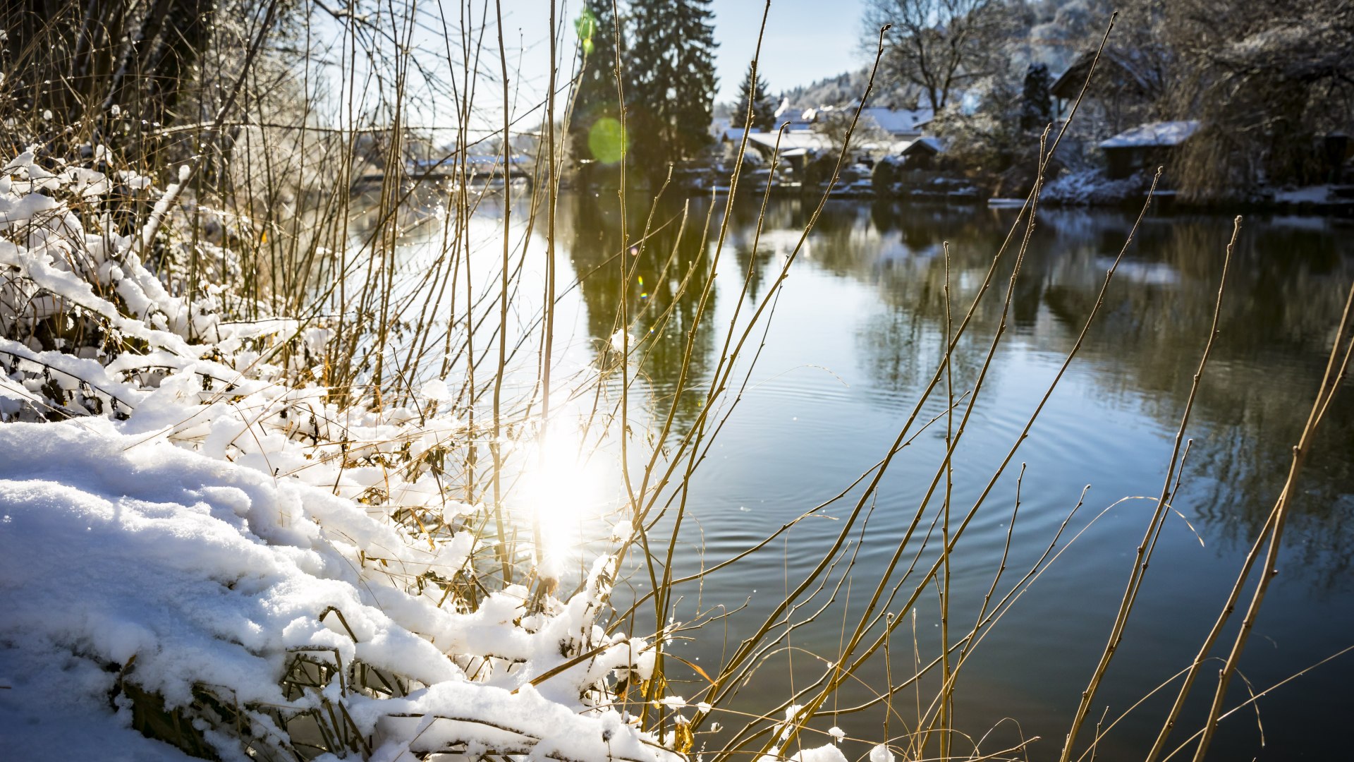 Winter, © Adrian Greiter Winter, © Adrian Greiter
