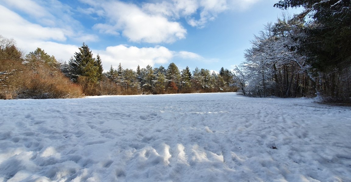 Naturschutzgebiet Isar, © Unbekannt Naturschutzgebiet Isar, © Unbekannt