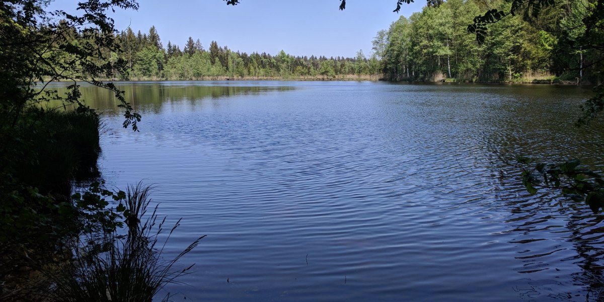 Holzweiher nahe Promberg, © Stadt Wolfratshausen Holzweiher nahe Promberg, © Stadt Wolfratshausen