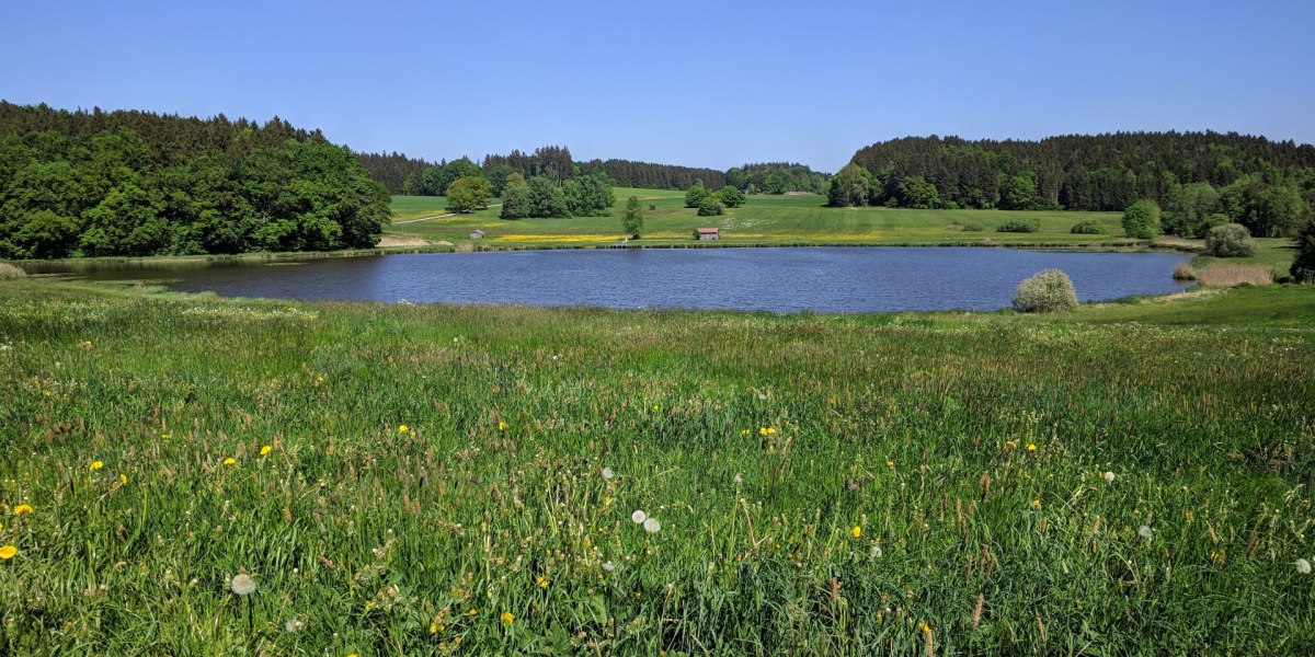 Weiher Sonderham, © Stadt Wolfratshausen Weiher Sonderham, © Stadt Wolfratshausen