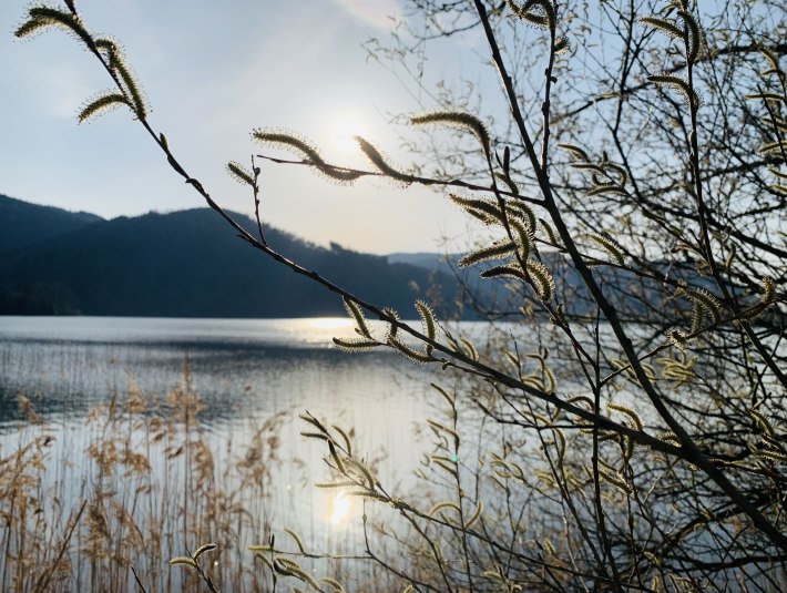 Blick auf Schliersee, © Stadt Wolfratshausen, Fotografin: Paulina Kisselbach Blick auf Schliersee, © Stadt Wolfratshausen, Fotografin: Paulina Kisselbach