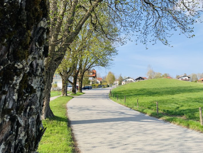 Allee in Bad Heilbrunn, © Stadt Wolfratshausen, Fotografin: Paulina Kisselbach Allee in Bad Heilbrunn, © Stadt Wolfratshausen, Fotografin: Paulina Kisselbach