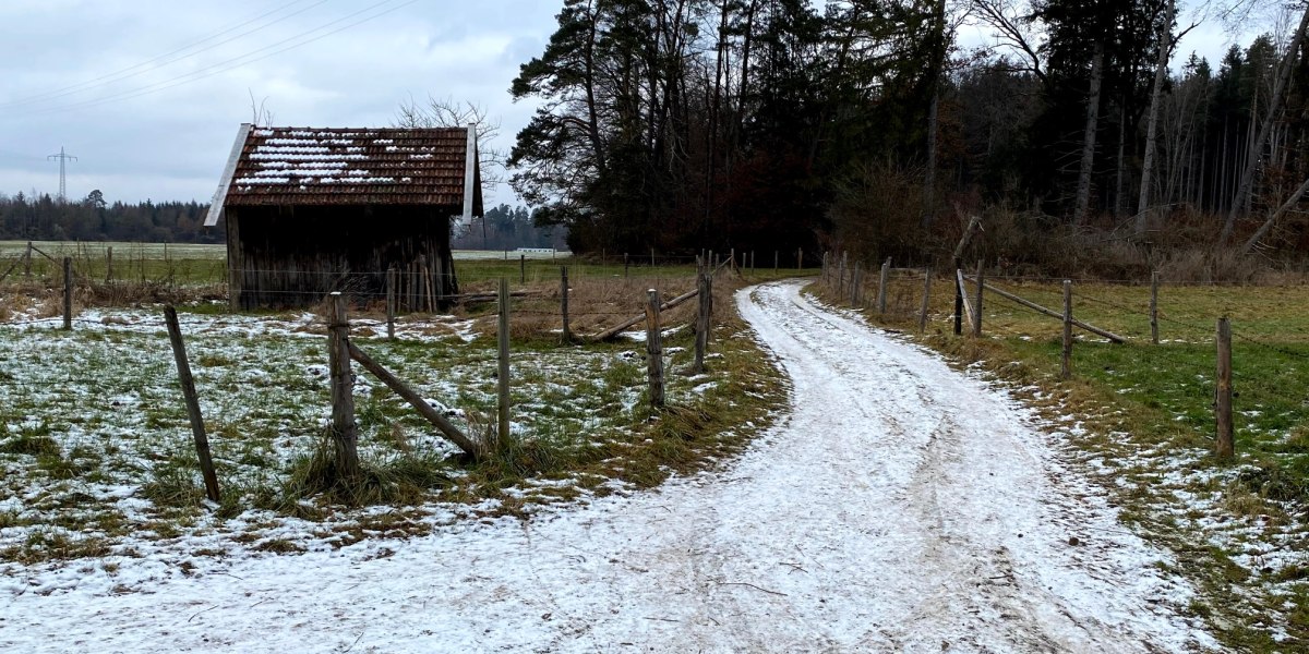 Waldweg Buchberg, © Unbekannt Waldweg Buchberg, © Unbekannt