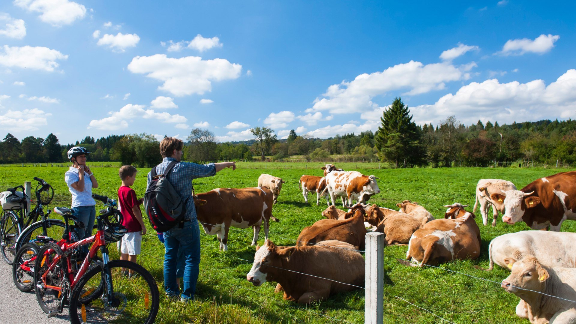 Eine Familie mit Fahrrädern steht an einer Weide mit Kühen, © Stadt Wolfratshausen Eine Familie mit Fahrrädern steht an einer Weide mit Kühen, © Stadt Wolfratshausen