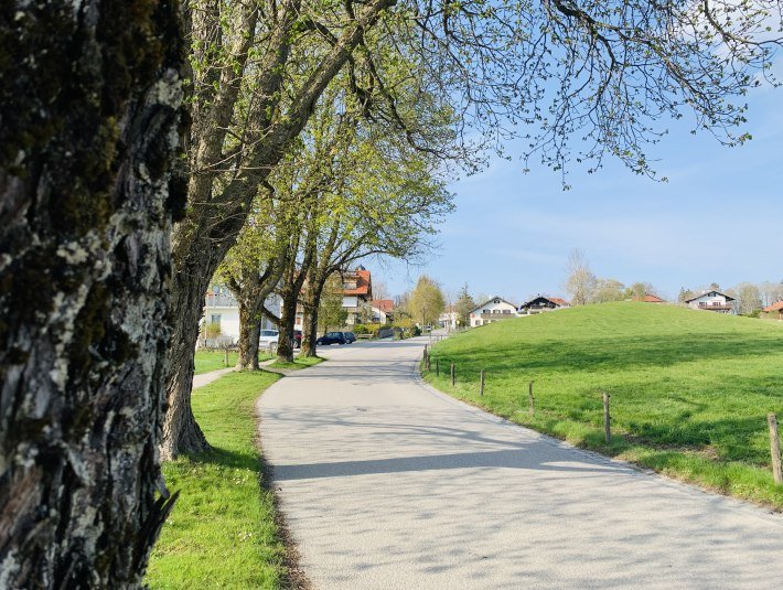 Allee in Bad Heilbrunn, © Stadt Wolfratshausen, Fotografin: Paulina Kisselbach