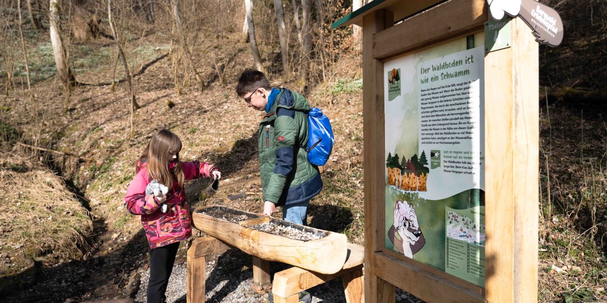 Ein MÄdchen gießt Wasser in einen halben Baumstamm, der mit Waldboden gefüllt ist um zu zeigen, dass der Waldboden wie ein Schwamm funktioniert. Daneben ist eine Schautafel aus Holz, die Erklärungen dazu liefert. , © Justine Bittner
