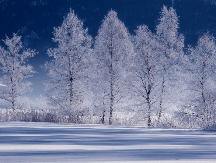 Winter, &copy; Tom Hirschmann