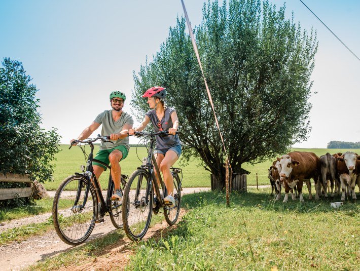 Zwei Radfahrer vor einer Weide mit Kühen, © TLT, Fotografin Leonie Lorenz