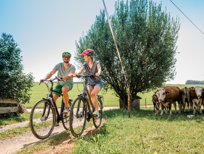 Zwei Radfahrer vor einer Weide mit K&uuml;hen, &copy; TLT, Fotografin Leonie Lorenz