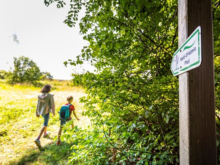 Zu sehen ist ein Wegweiser f&uuml;r einen Wanderweg und im Hintergrund zwei Wanderer bei Sonnenschein. , &copy; Adrian Greiter
