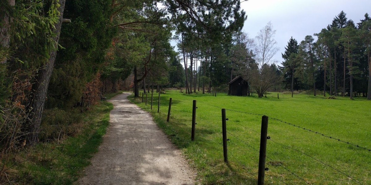 Isarradweg, © Stadt Wolfratshausen