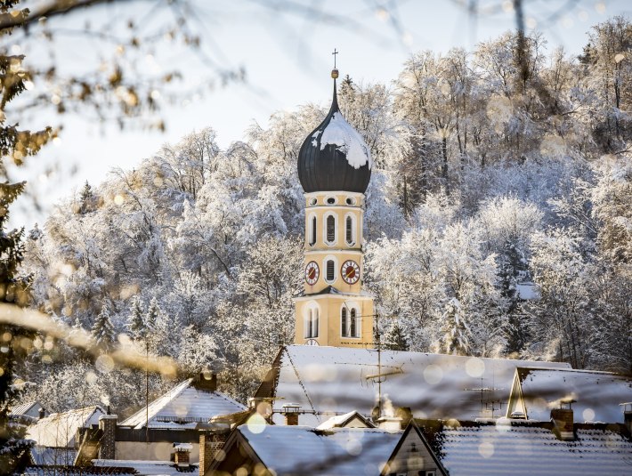 Winter, © Adrian Greiter