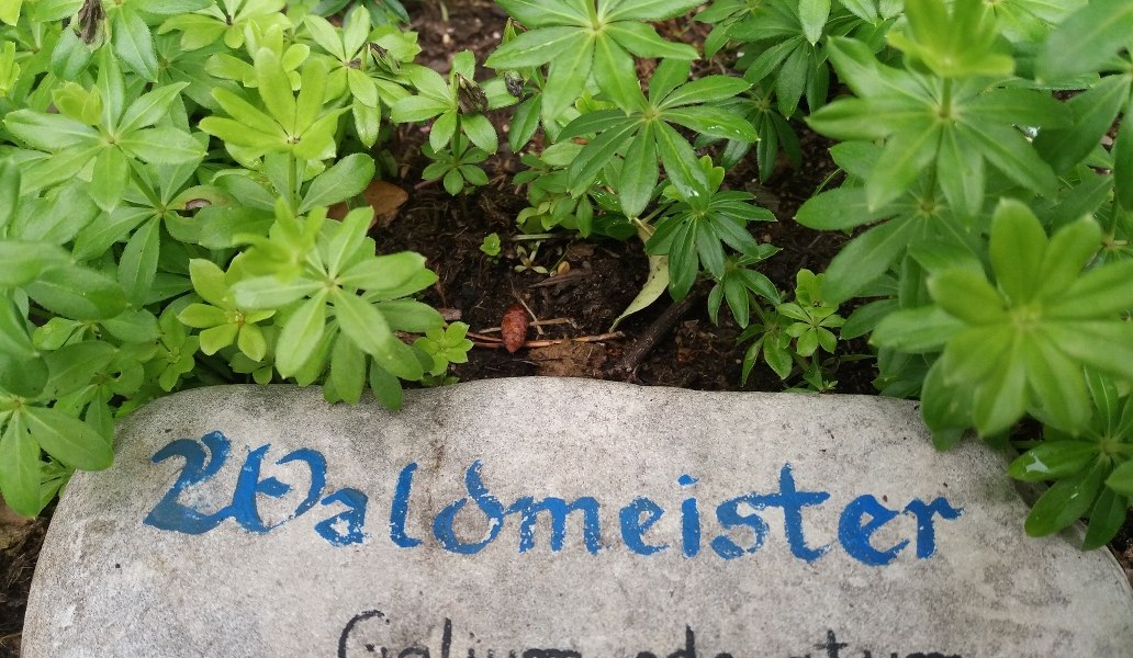 Liebevolle beschriftet sind die Kräuter im Kräuter-Kraft-Kreis der Stadtbücherei Wolfratshausen