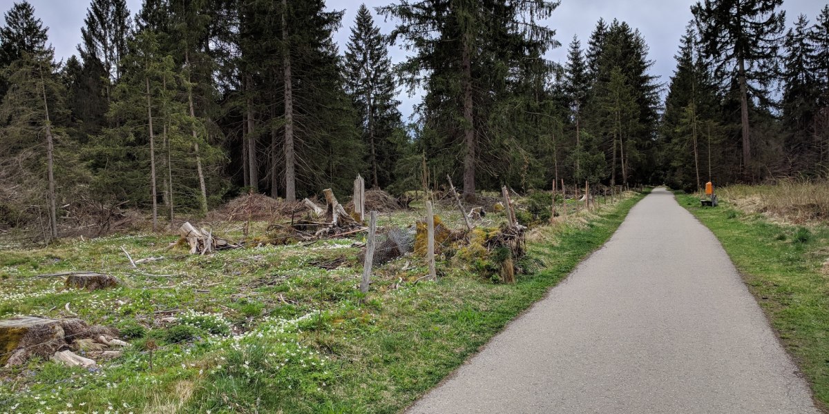 Weg bei Stein, © Stadt Wolfratshausen