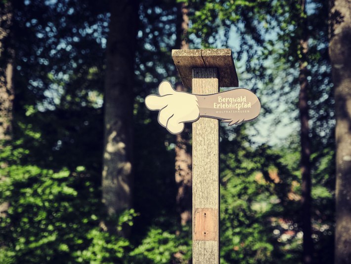 Das Hinweisschild zum Bergwalderlebnispfad an einem Baum. , &copy; Stadt Wolfratshausen, Foto: Axel Pfeiler