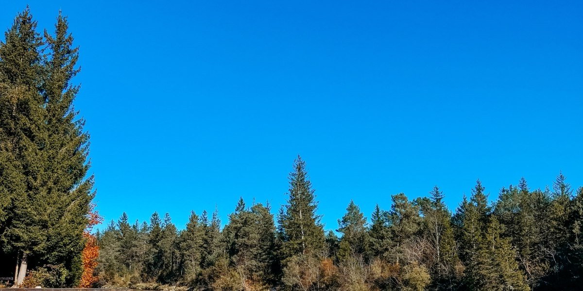 Flo&szlig;l&auml;nde Isarflo&szlig; Angermeier bei Wolfratshausen, &copy; Fakult&auml;t f&uuml;r Tourismus - Digital Marketing & Management - Hochschule M&uuml;nchen