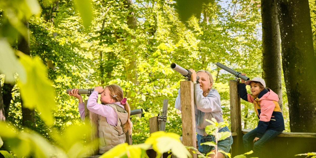 Drei Mädchen bestaunen die Natur durch Fernrohre, die an der Station am Bergwald Erlebnispfad angebracht sind, © Stadt Wolfratshausen