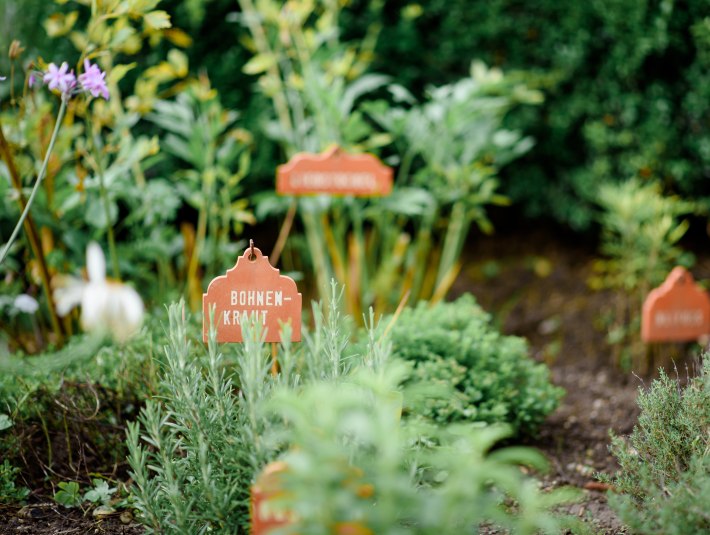 Regionale Kr&auml;uter, &copy; T&ouml;lzer Land Tourismus, Leonie Lorenz