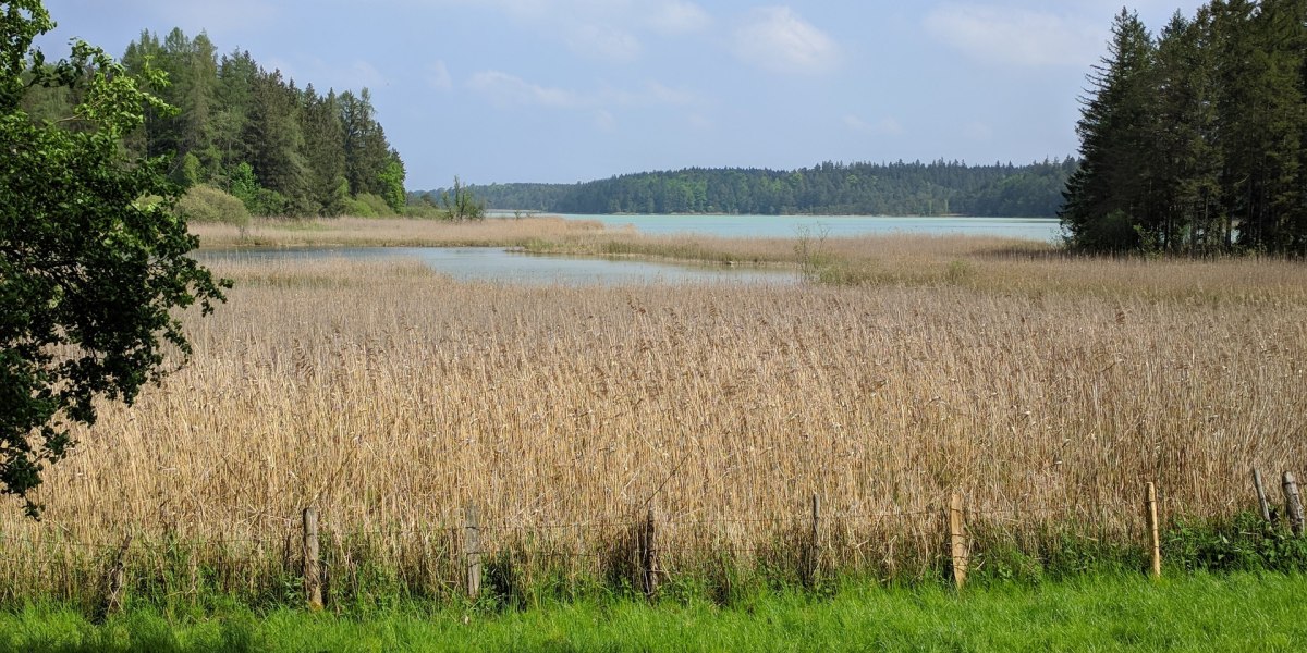 Osterseen, © Stadt Wolfratshausen