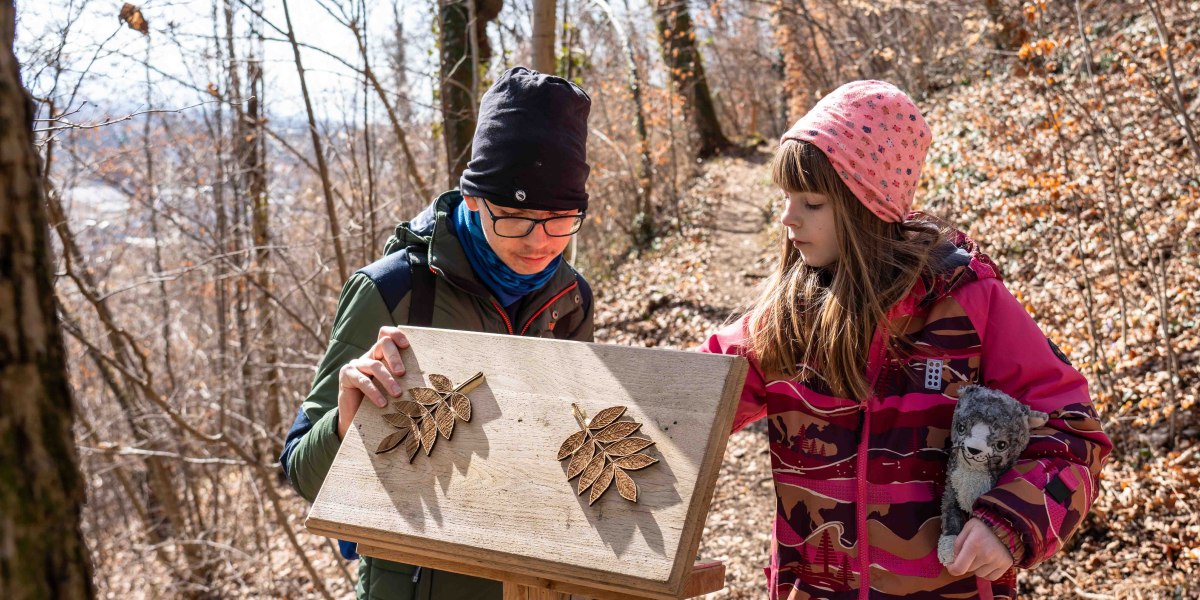 Ein Jugendlicher und ein Mädchen schauen auf eine Holztafel in der sich Dinge aus dem Wald ertasten lassen. , © Justine Bittner