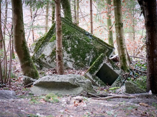 Bild 1, © Justine Bittner