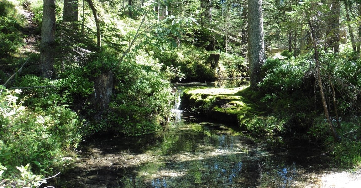 Isarursprung im Hinterautal, © Stadt Wolfratshausen