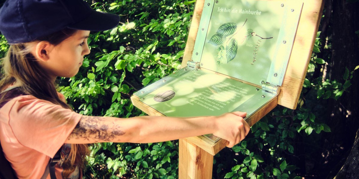 {e004a1ec-6e08-c6f9-36d5-0e1b5df8f553}, &copy; Stadt Wolfratshausen