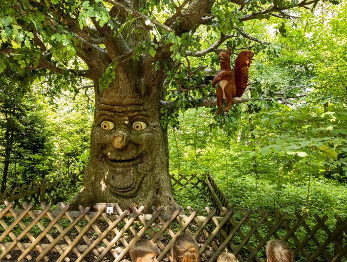 Maerchenwald_AG_1809 (1), &copy; Adrian Greiter