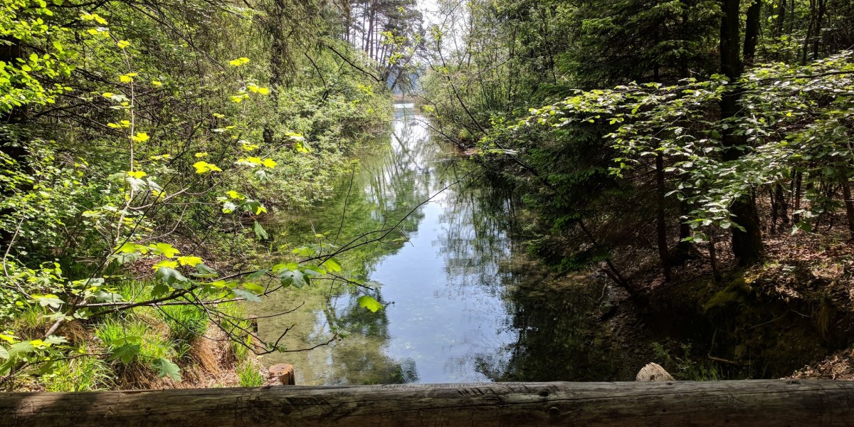 Waldweg bei den Osterseen, © Stadt Wolfratshausen