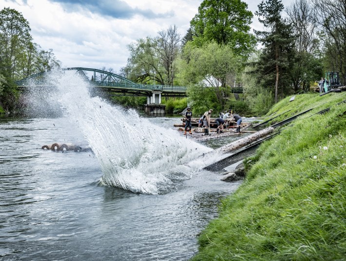 St&auml;mme werden ins Wasser gerollt um daraus ein Flo&szlig; zu bauen., &copy; Stadt Wolfratshausen Foto: Adrian Greiter