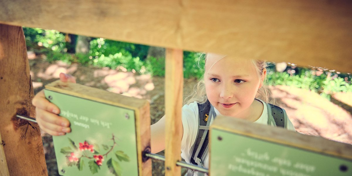 {8fdc7230-01b6-3b31-2dd4-e91dc89403b3}, &copy; Stadt Wolfratshausen