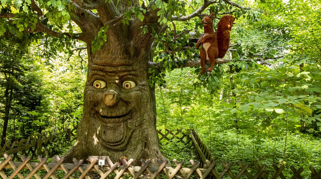 Maerchenwald_AG_1809 (1), © Adrian Greiter