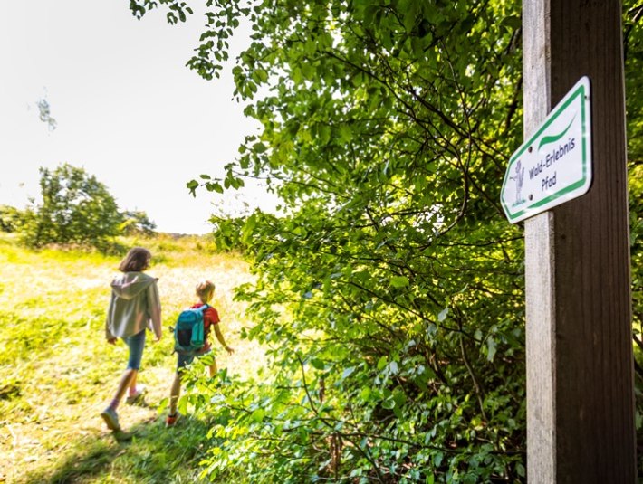 Zu sehen ist ein Wegweiser f&uuml;r einen Wanderweg und im Hintergrund zwei Wanderer bei Sonnenschein. , &copy; Adrian Greiter