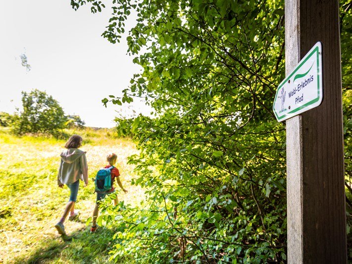 Zu sehen ist ein Wegweiser f&uuml;r einen Wanderweg und im Hintergrund zwei Wanderer bei Sonnenschein. , &copy; Adrian Greiter