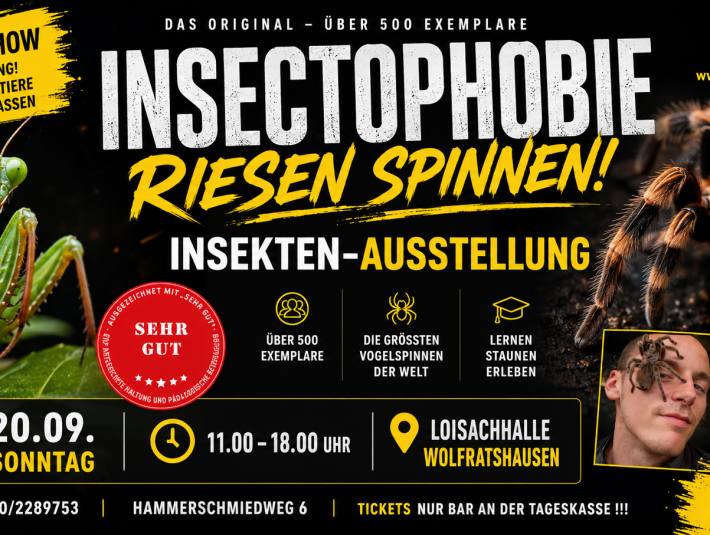 Bild 1, &copy; giovannno neigert