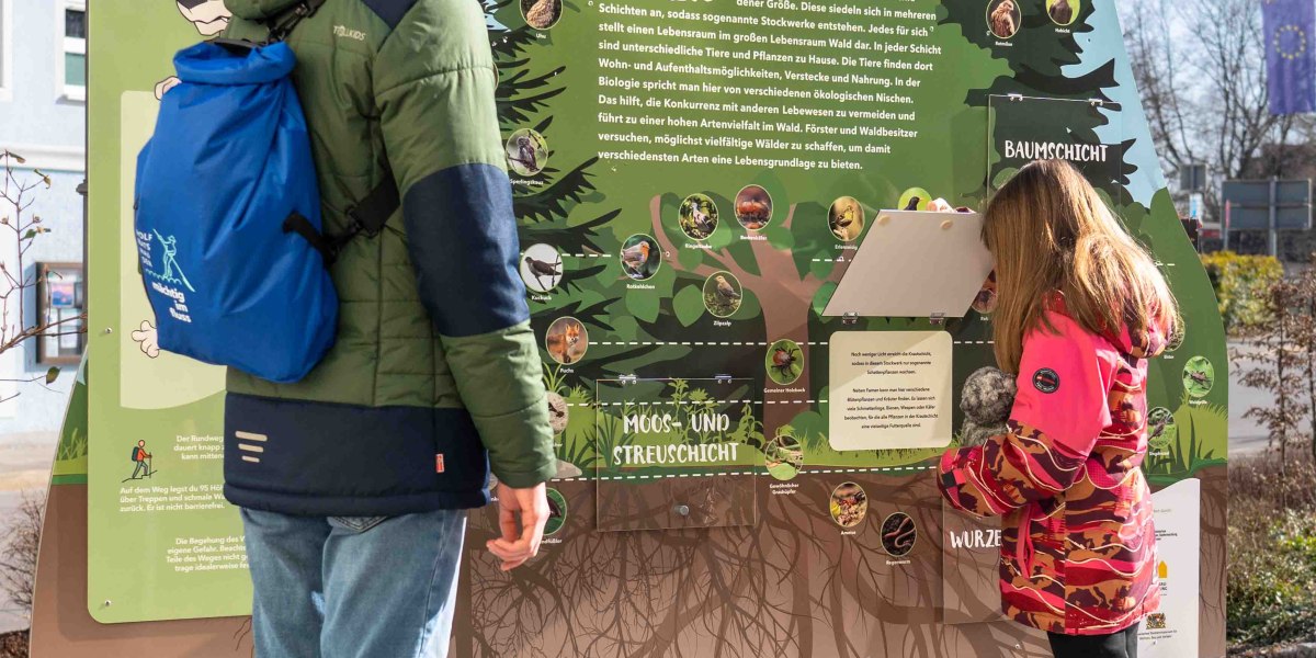Zwei Personen stehen vor einer Schautafel, die den Wald als Lebensraum anschaulich für Kinder erklärt. , © Justine Bittner