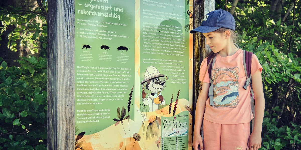 Vor der Erklärtafel zum Thema Bienen und welchen Beitrag sie in der Natur leisten, steht ein Mädchen in sommerlicher Kleidung, © Stadt Wolfratshausen