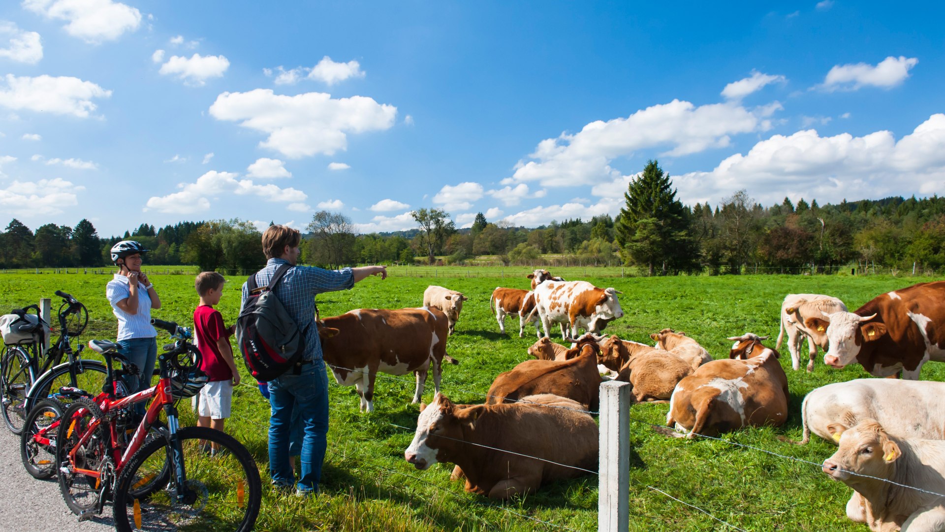 Eine Familie mit Fahrrädern steht an einer Weide mit Kühen, © Stadt Wolfratshausen