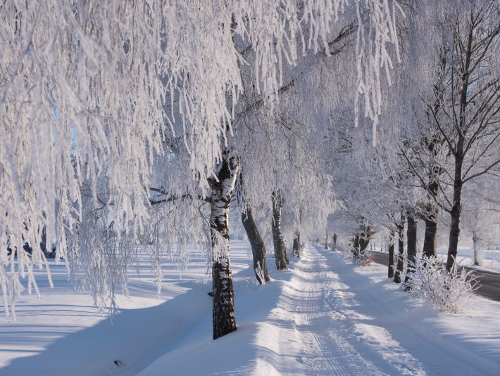 Winter, &copy; Tom Hirschmann